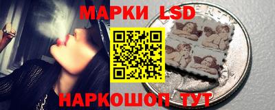 шишки Лесосибирск