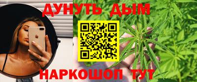 шишки Лесосибирск