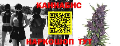 шишки Лесосибирск