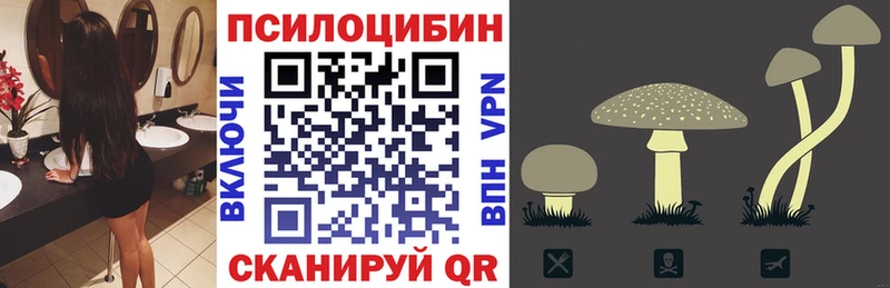 Галлюциногенные грибы Magic Shrooms  блэк спрут рабочий сайт  Ессентуки 
