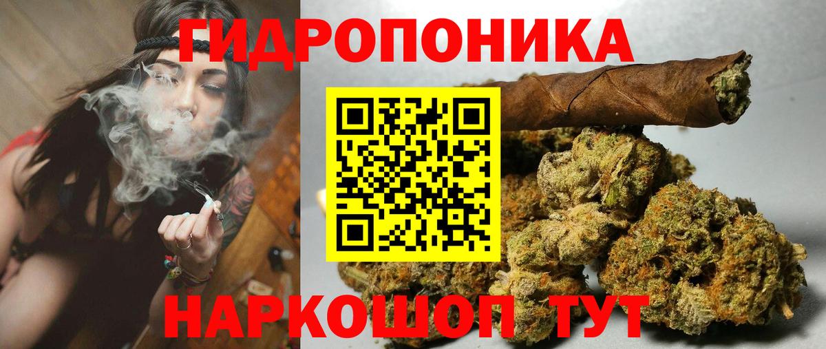 Каннабис семена Ессентуки